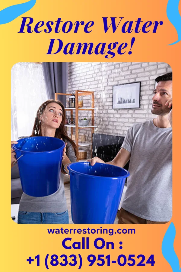 water restoration Hawk Disaster Recovery Pros Lewellen