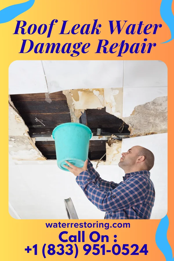 Roof Leak Water Damage Repair in Lewellen, NE